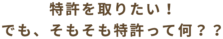 特許を取りたい！でも、そもそも特許って何？？
